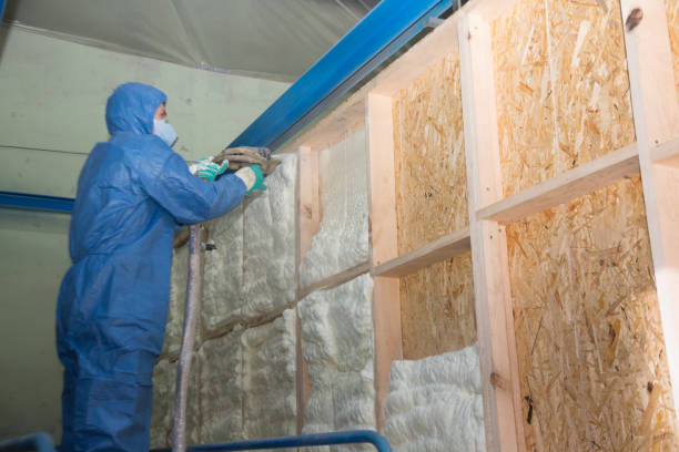 Best Residential Insulation Services  in Mount Zion, IL