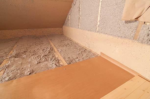 Best Insulation Repair Services  in Mount Zion, IL